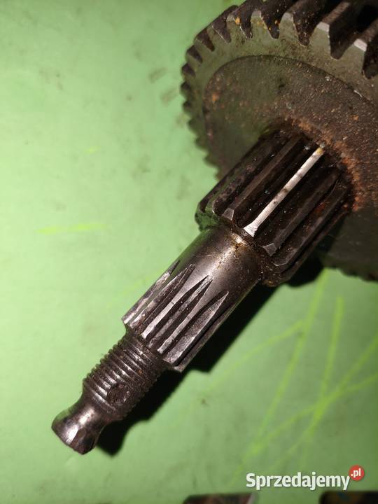 Wałek tryby skrzyni biegów że wstecznym Dniepr Leszno