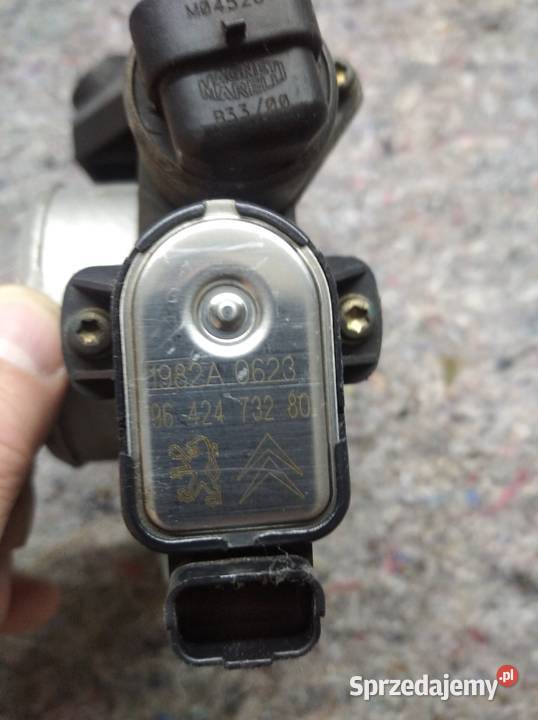 Peugeot Citroen przepustnica wielkopolskie