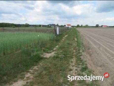 Syndyk Locotranssped sp z oo w upadłości sprzeda Wronczyn