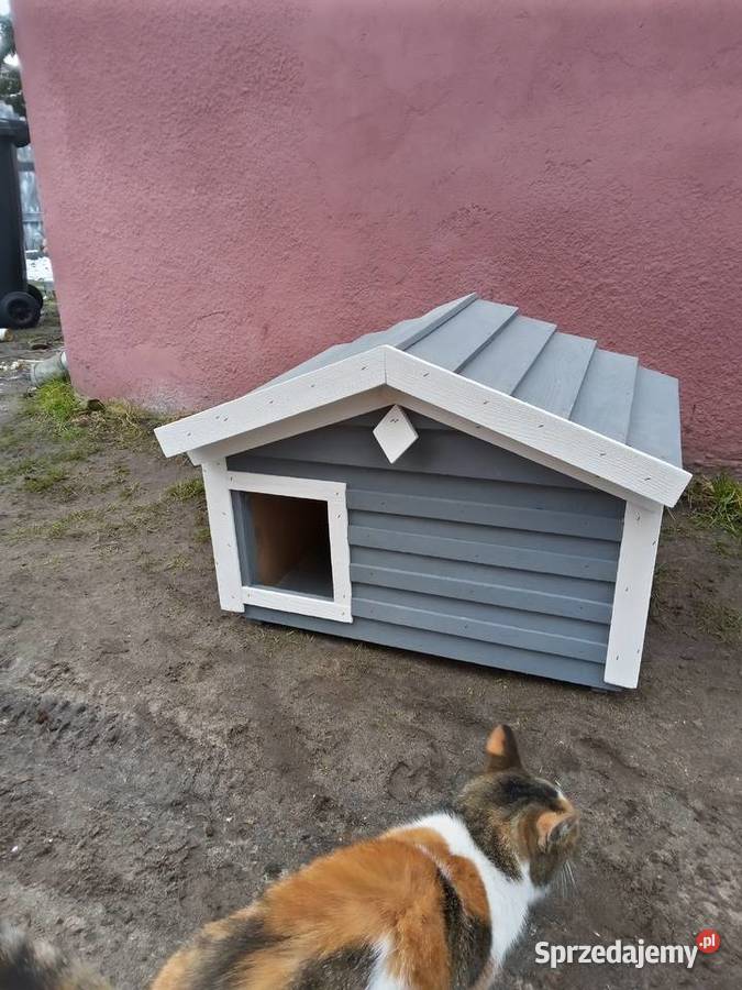 Domekbuda kota kotówPromocja Grodziec