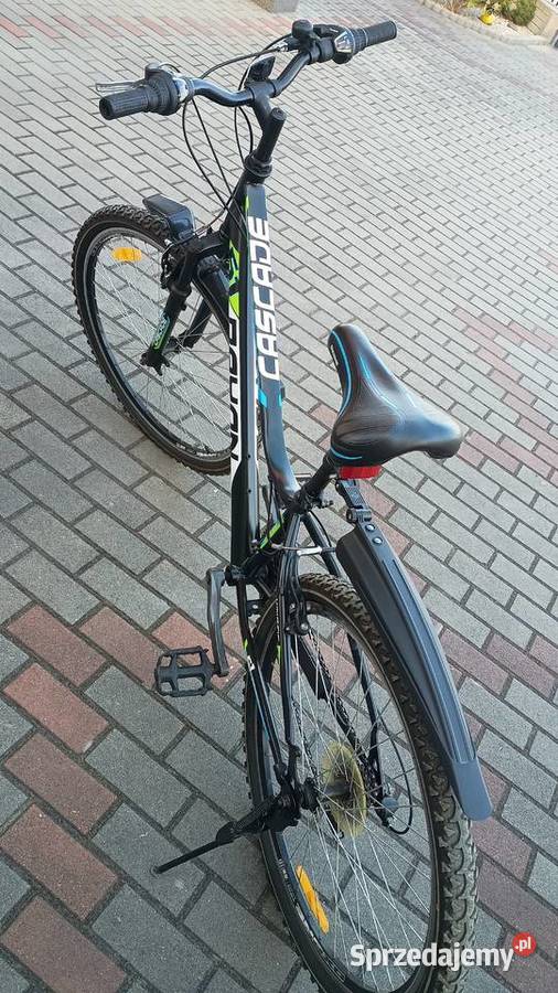 Rower młodzieżowy Rayon Cascade 26 śląskie Pszczyna