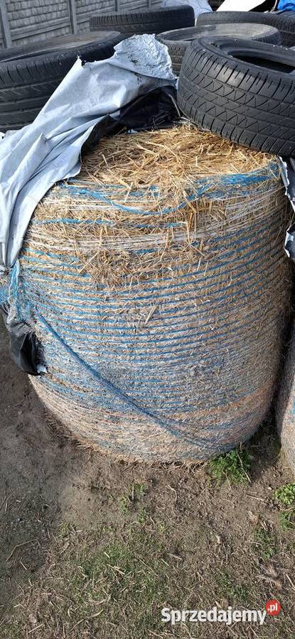 Słoma Piotrków Trybunalski