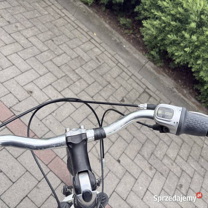 Pegasus Premio 28 Shimano Nexus 8 Alu Kosz Kasyldów