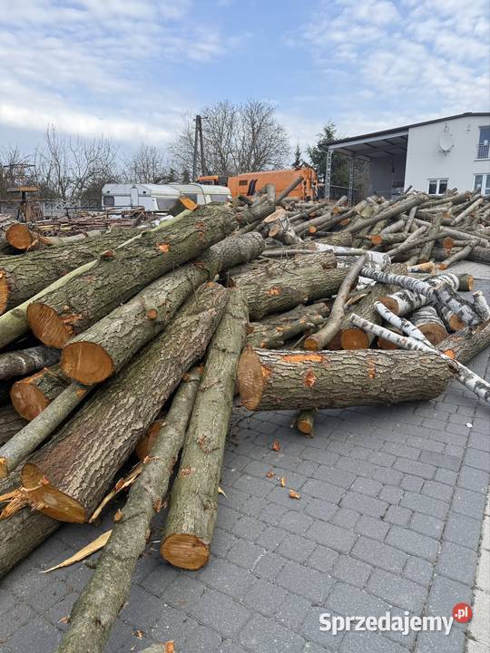 Drewno liściaste w wałkach 15 m Kórnik