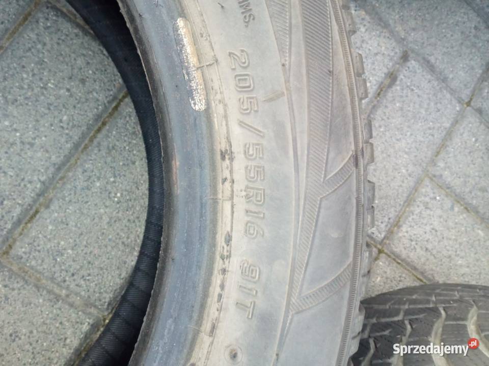 Opony zimowe Falken Rajsko