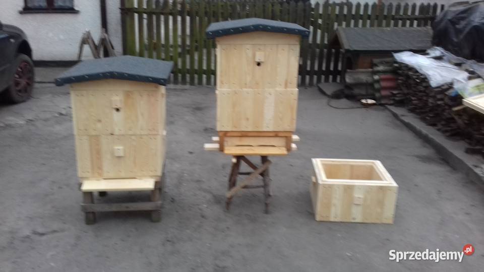 Ule Wielkopolskie Śliwice