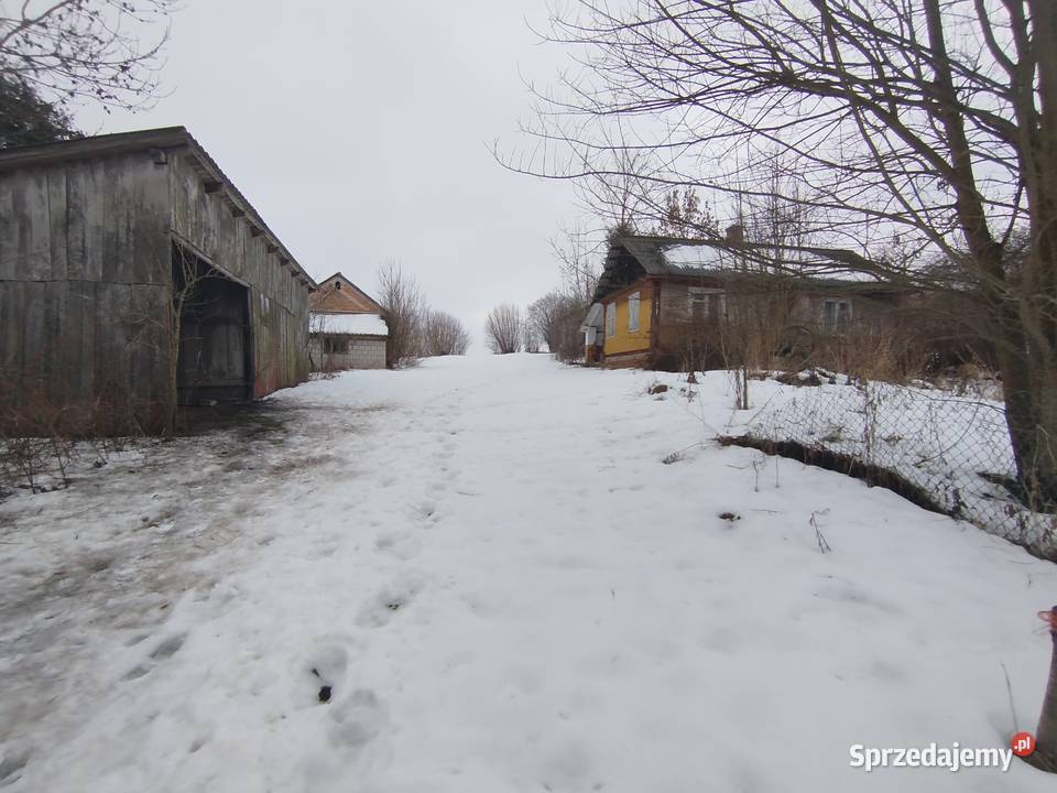 Sprzedam siedlisko z polem ornym klasy lubelskie