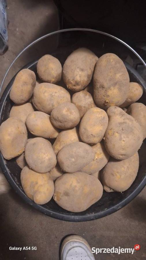 Ziemniaki sadzeniaki soraya podkarpackie Rzeszów