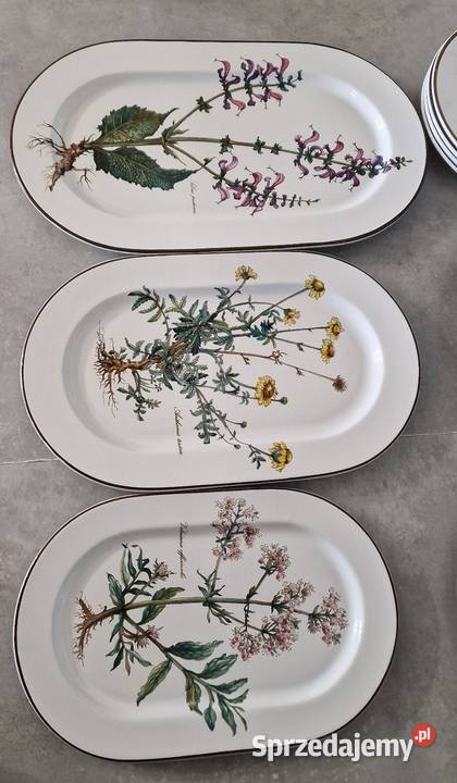 VilleroyBoch Botanica serwis obiadowy 5 osób sprzedam