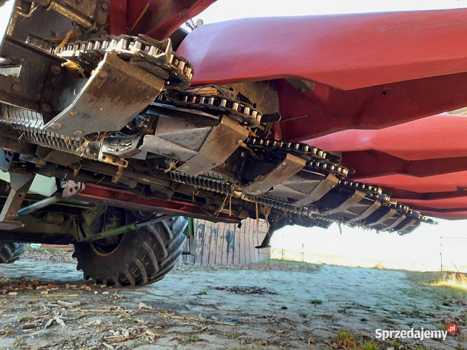 Przystawka Geringhoff Rota Disc 5rzędowa Zabłudów