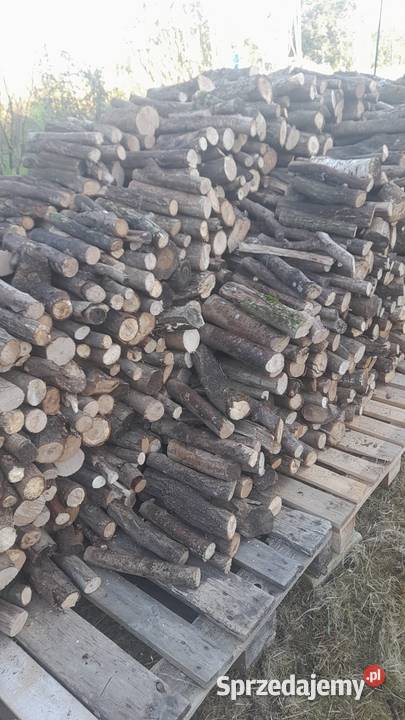 Drewno opałowe dąb Buk gałęziówka Sępólno Krajeńskie