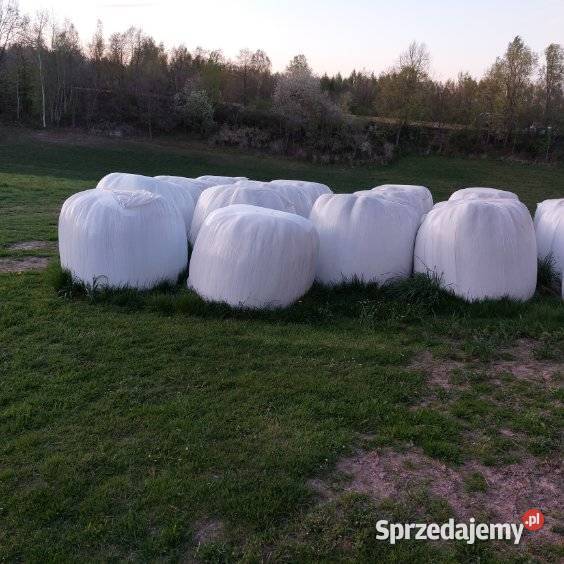 Siano i sianokiszonka Bychawa