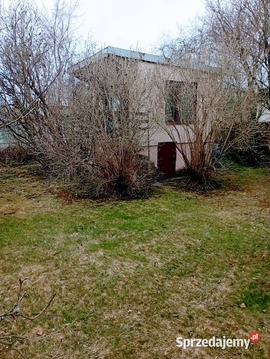 Sprzedam dziłkę ROD MAGNOLIA 300m2 Kielce świętokrzyskie