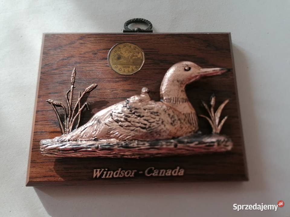 Obraz płaskorzeźba kaczki Windsor Canada Łódź