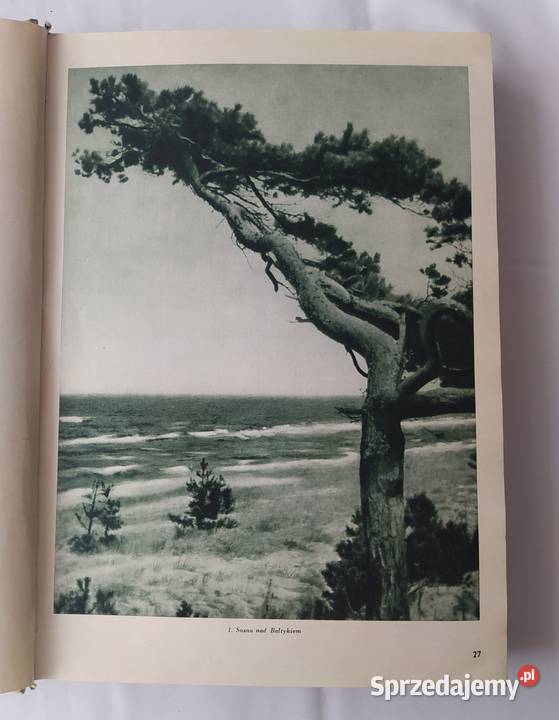 KRAJOBRAZY POLSKI Stefan Jarosz podlaskie Hajnówka sprzedam