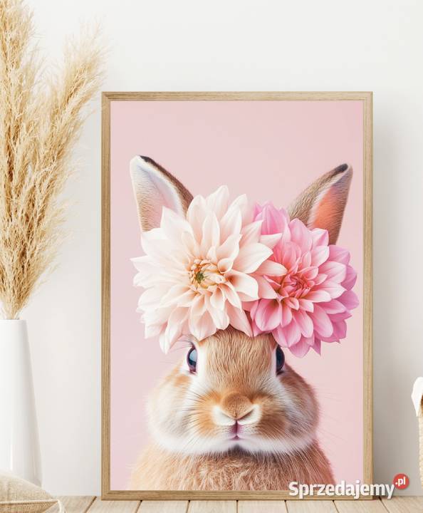 Plakaty króliczki Pełczyce