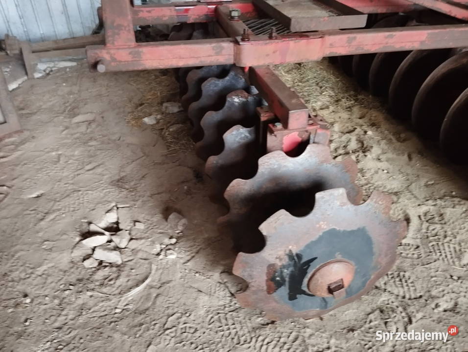 Talerzówka 2x10 Ulan-Majorat