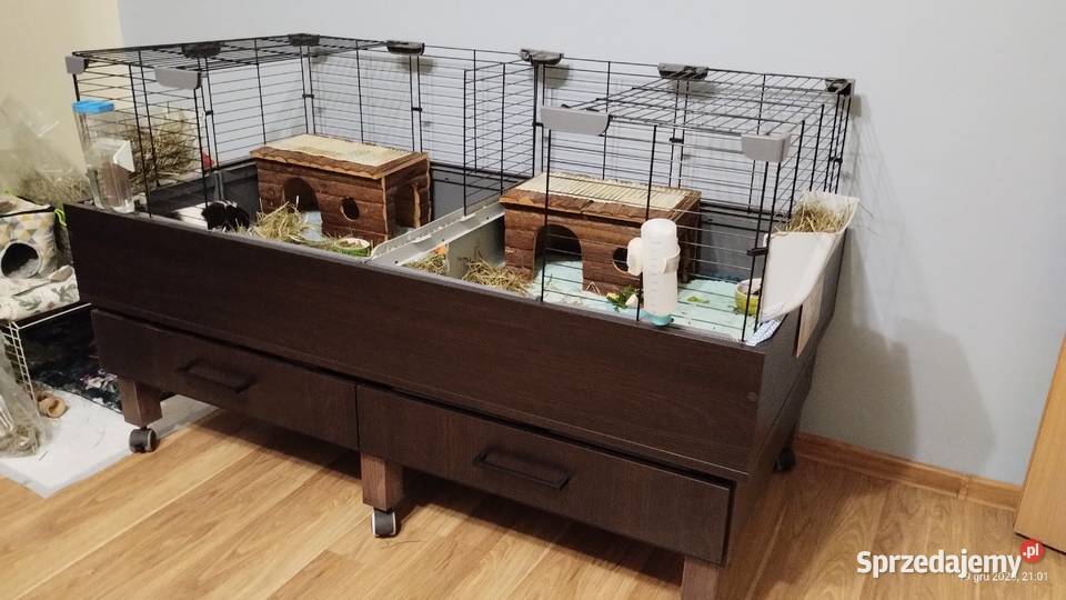 klatka modułowa swinek morskich Katowice