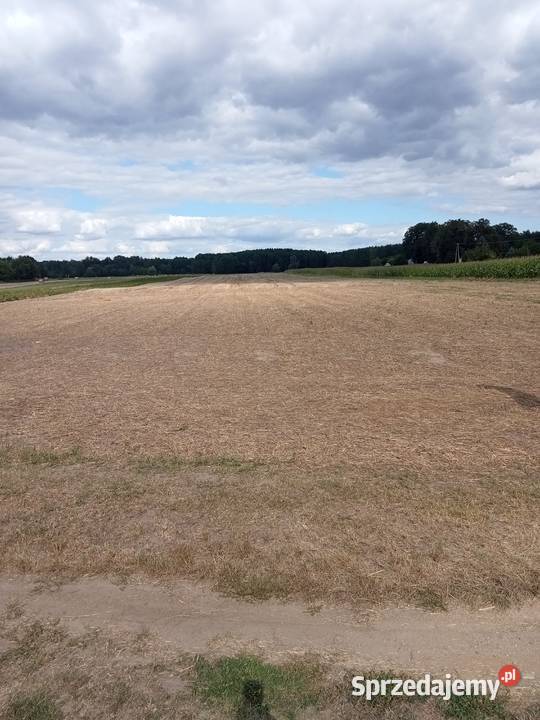 Działki budowlane Zakrzewo Kościelne sprzedam