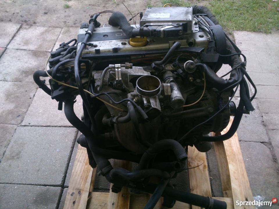 Opel OMEGA B silnik 20 16V lubuskie Sulechów
