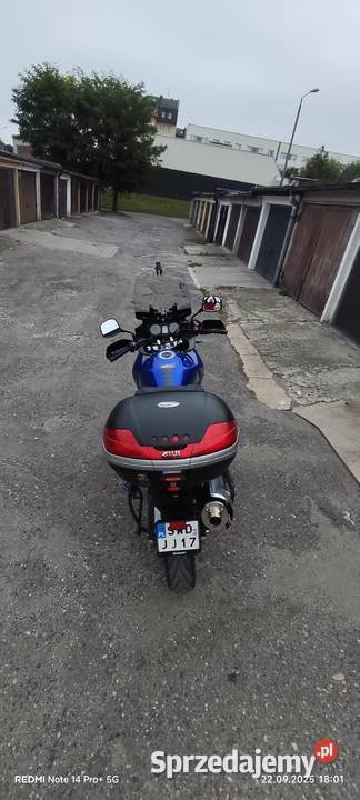 Suzuki VStrom 650 Suzuki