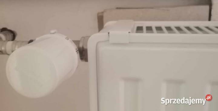 Stalowy grzejnik płytowy Cosmo 90 60 głowica