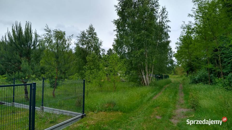 Działka rekreacyjna sprzedam 26.3m Trzepnica