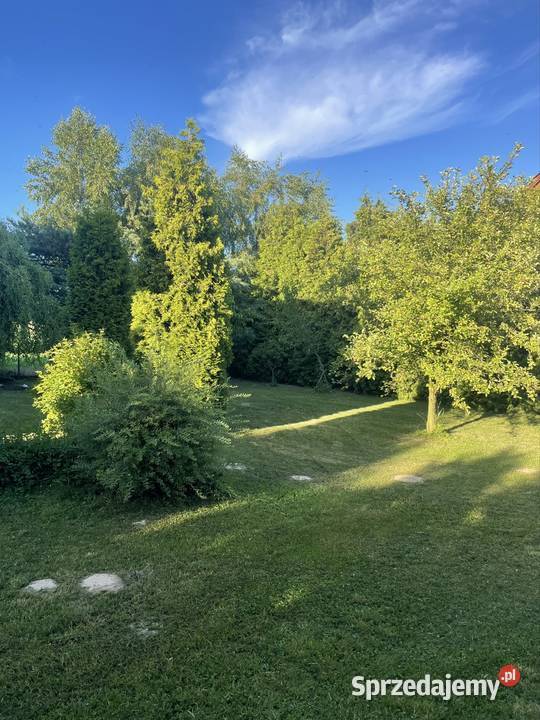 Sprzedam Dom 120 m2 900 mkw Kościelna Wieś