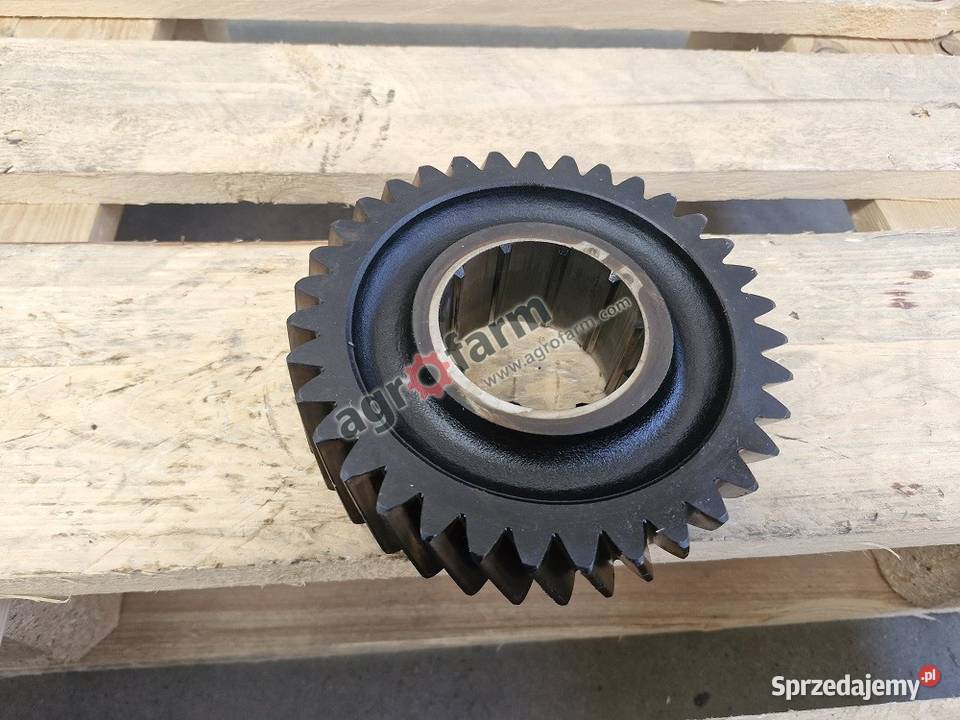 Koło zębate Massey Ferguson 6485 8210 8240 8250 Byków