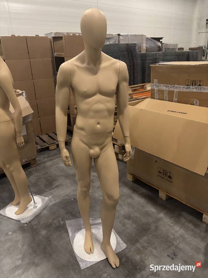 Manekiny sklepowe premium Poznań