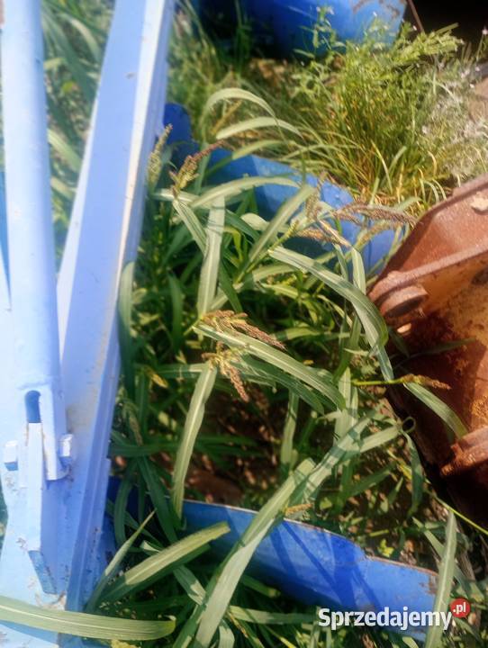 Płup pługi 4 duże masywne nieuszkodzony Koziegłowy