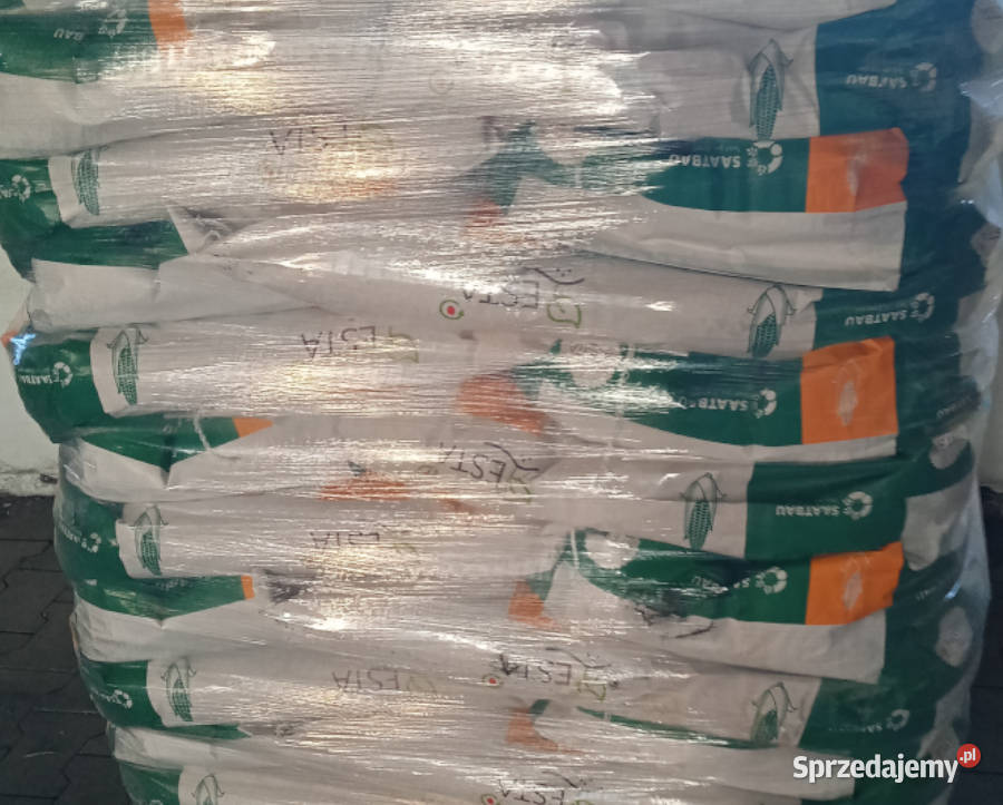 Materiał siewny kukurydza Garrido FAO 240 Opti Zboża kujawsko-pomorskie Radzyń Chełmiński