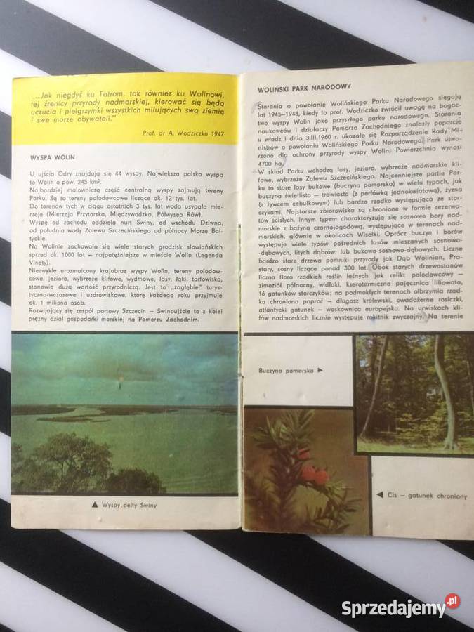 3562 Woliński Park Narodowy sprzedam