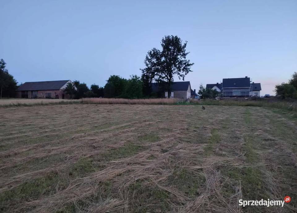Budy Czarnockie 12a Gmina Piątnica 1200m2 Sprzedaż podlaskie