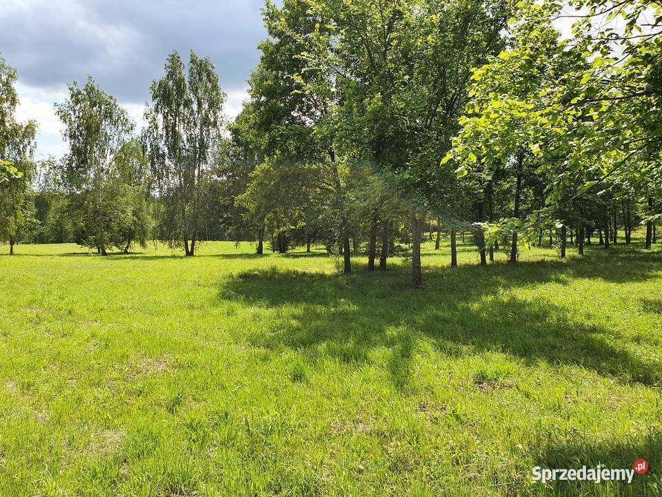 Śniardwy działka z linią brzegową Kwik