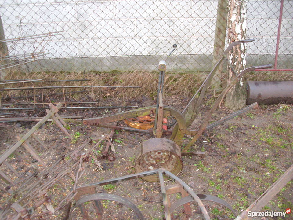 Dzik 2 Sułkowice sprzedam