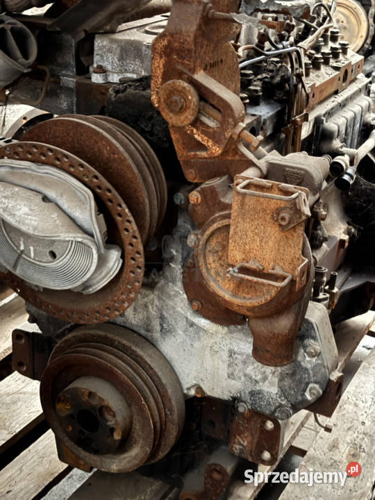 Perkins 33922200 Silnik Blok Wał Koło Pasowe Jastrzębniki sprzedam