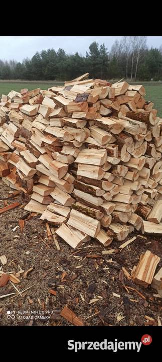 Drewno kominkowe opałowe brzoza sosna dąb