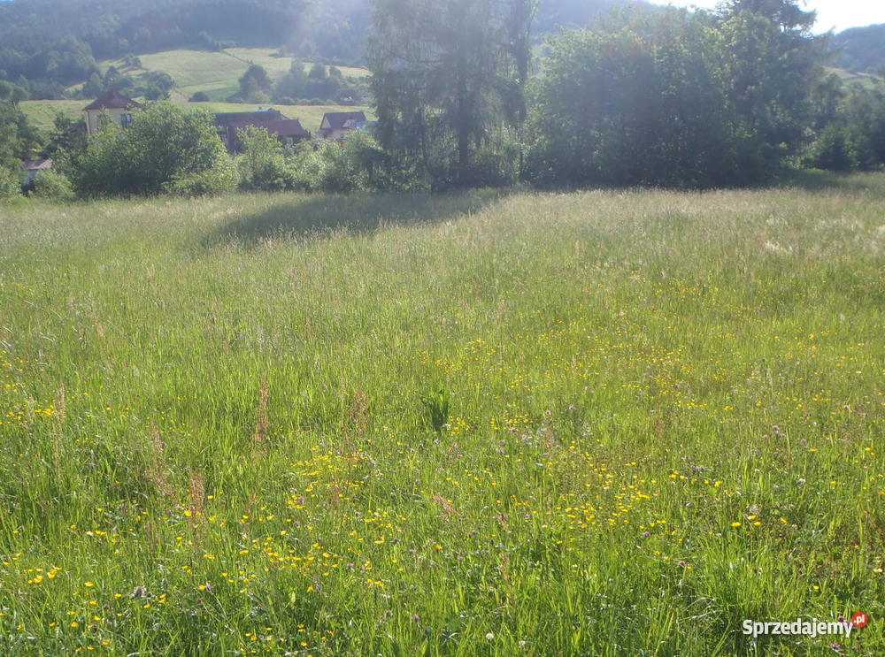 działki budowlane w górach