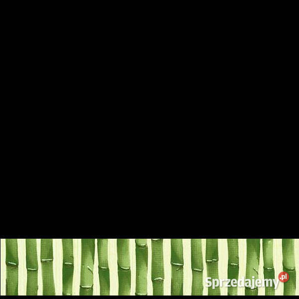 Listwa Inca verde 48 x 25 Paradyż aktualne Białogard sprzedam