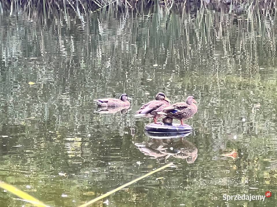 Fontanna do stawu pompa dysza fontannowa Fontanny i kaskady mazowieckie Raszyn