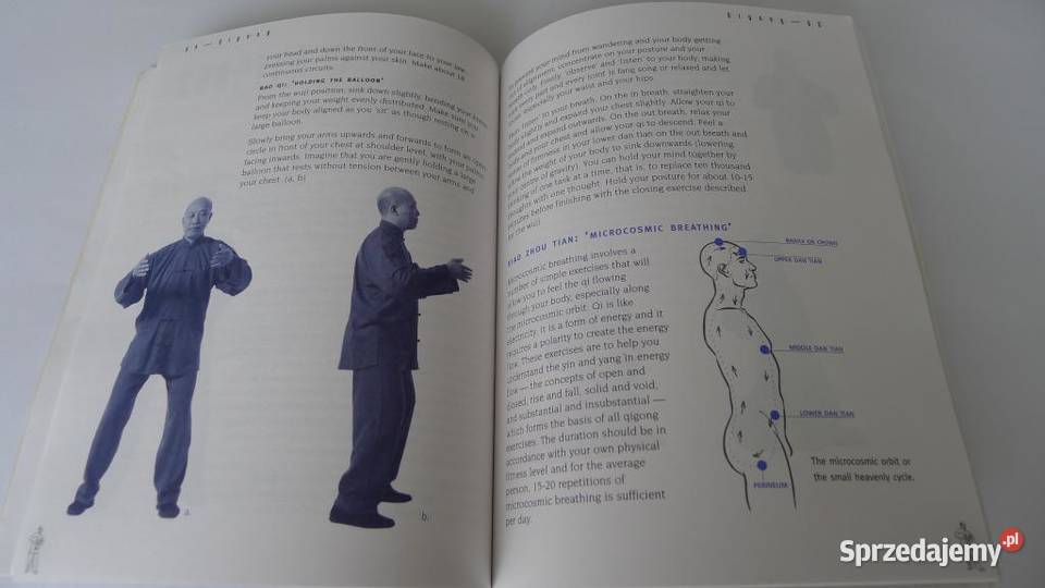 HOWARD CHOY Siu Lohan Qigong Chi KungChoy Lee mazowieckie Radom