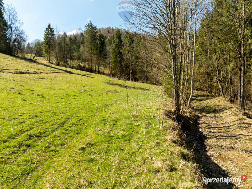 Działka widokowa Szlachtowa ok 4395 m sprzedam