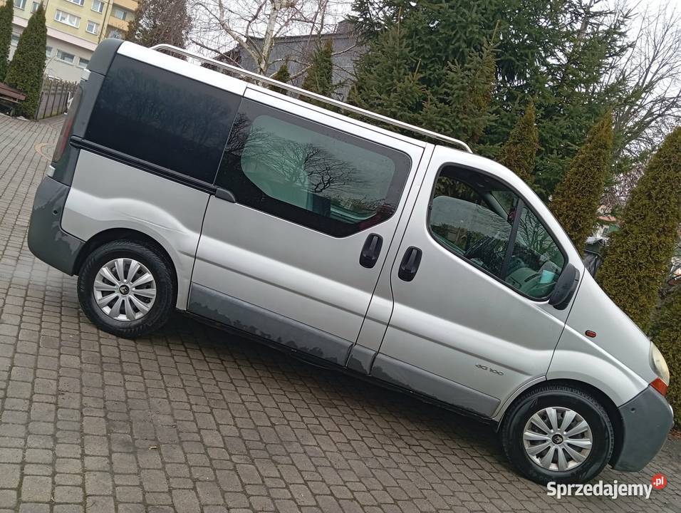 TRAFIC 19 DCI HAK 5 OSÓB 1 WŁAŚĆ ZAREJESTR Gostynin