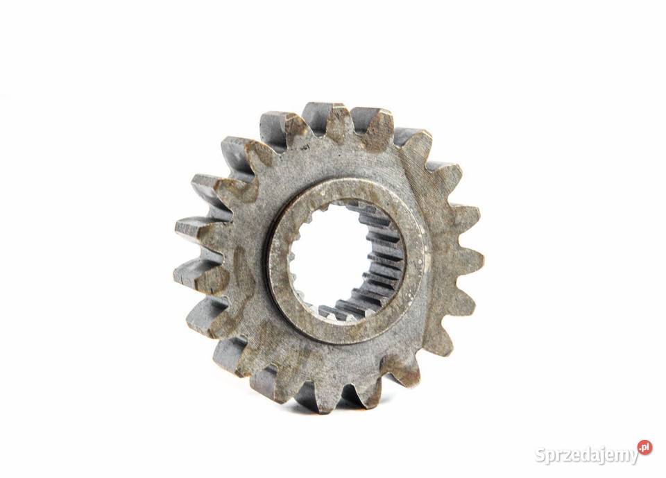 Zębatka 65x25 mm B13 19T 18T Tajęcina