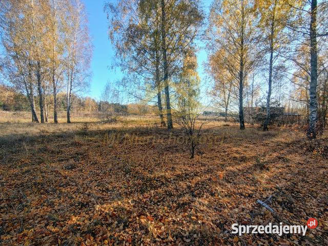 sprzedaży działki Żelechów 1277m2 mazowieckie