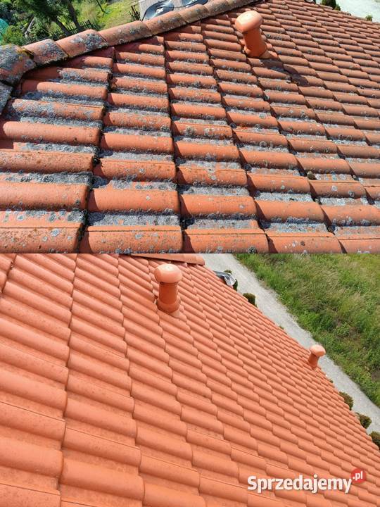 Mycie ciśnieniowe dach elewacja kostka Mycie elewacji i prace wysokościowe dolnośląskie Ząbkowice Śląskie