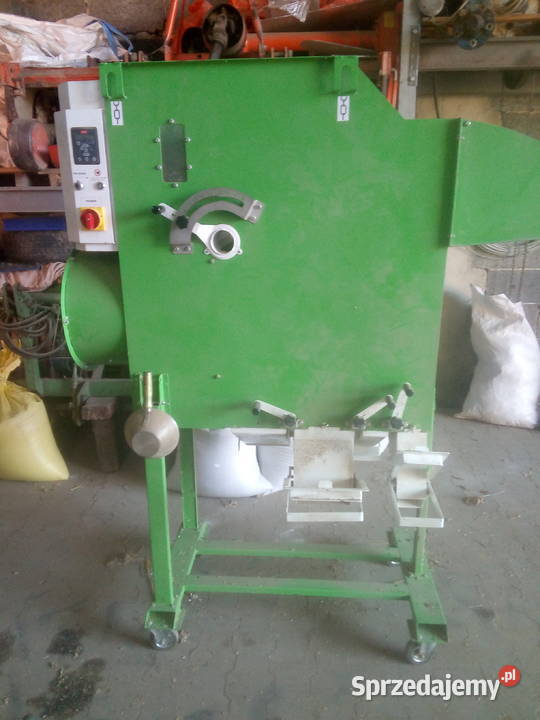 Groch siewny batuta Pozostałe Pilzno