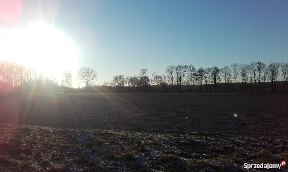 Działka rolno budowlana Warpęsy sprzedam