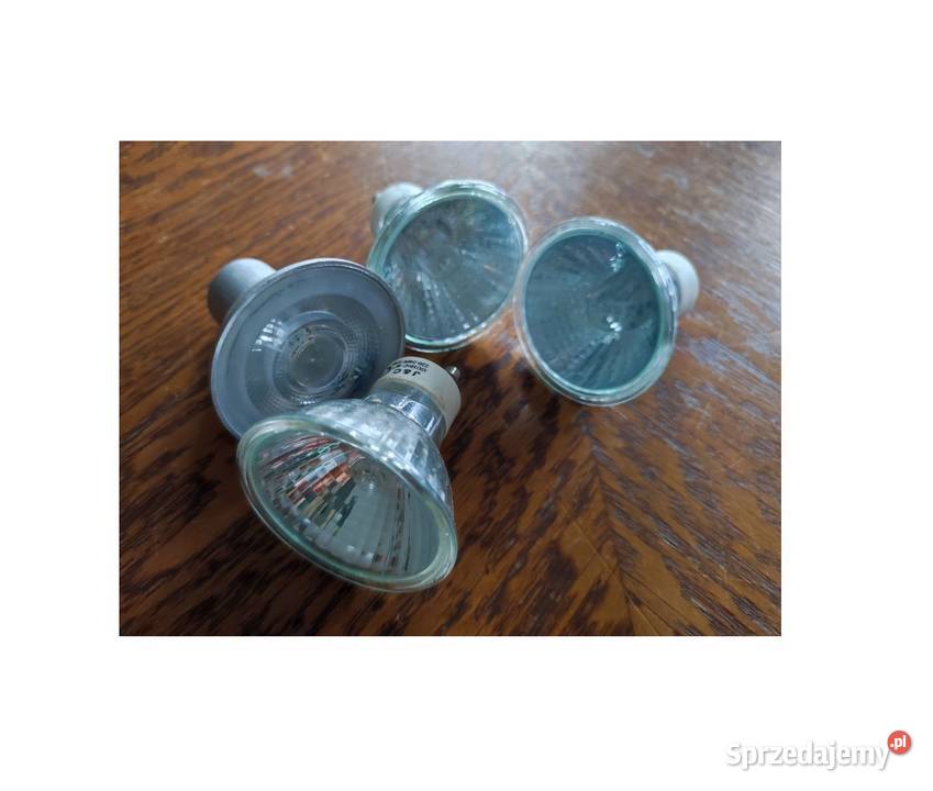 żarówka halogen reflektor led świetlówka lampka Pozostałe Kielce
